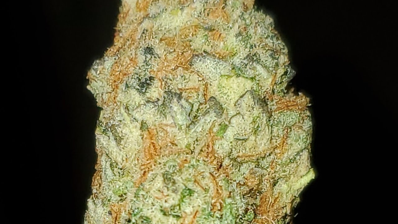 TANG BREATH STRAIN WAKE AND BAKE STYLE