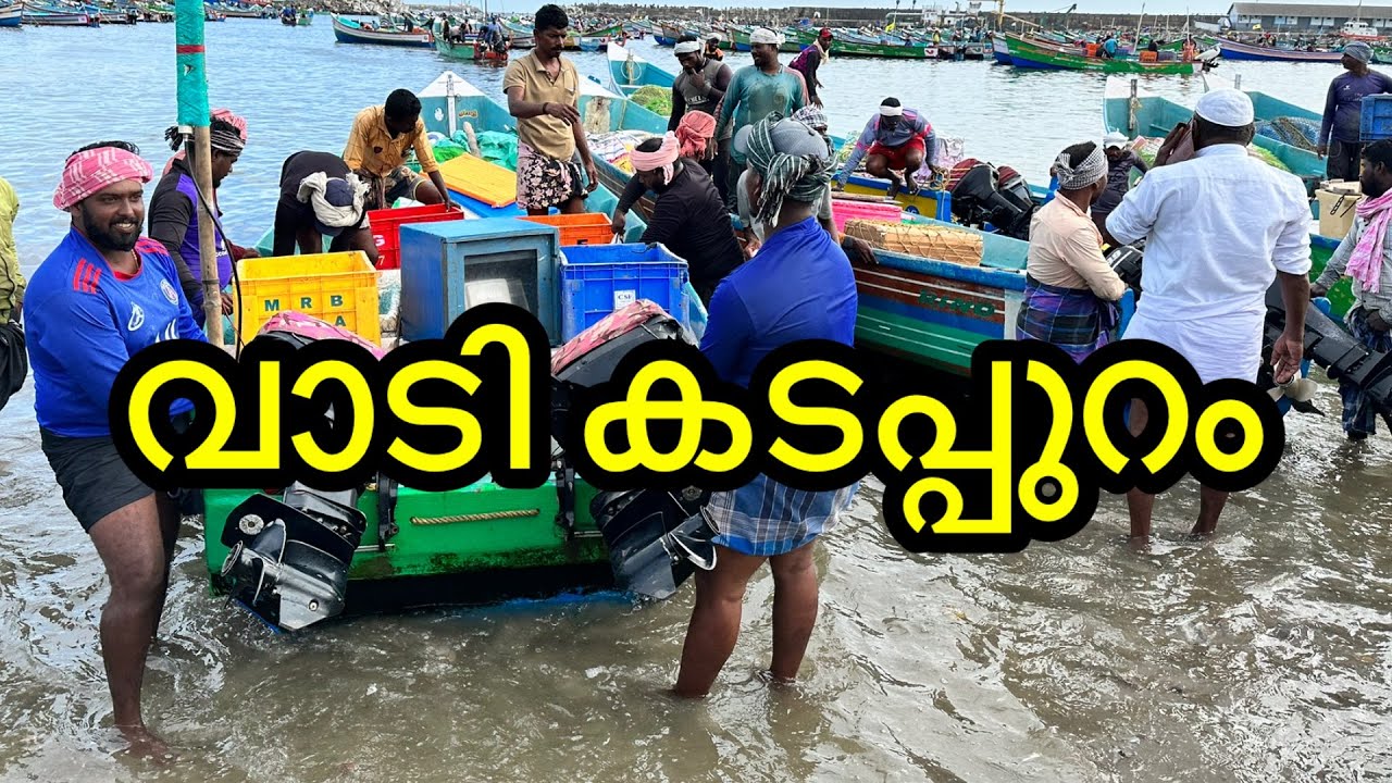 വാടി കടപ്പുറത്തു വള്ളങ്ങളിൽ നിന്നും മീൻ വാങ്ങാം