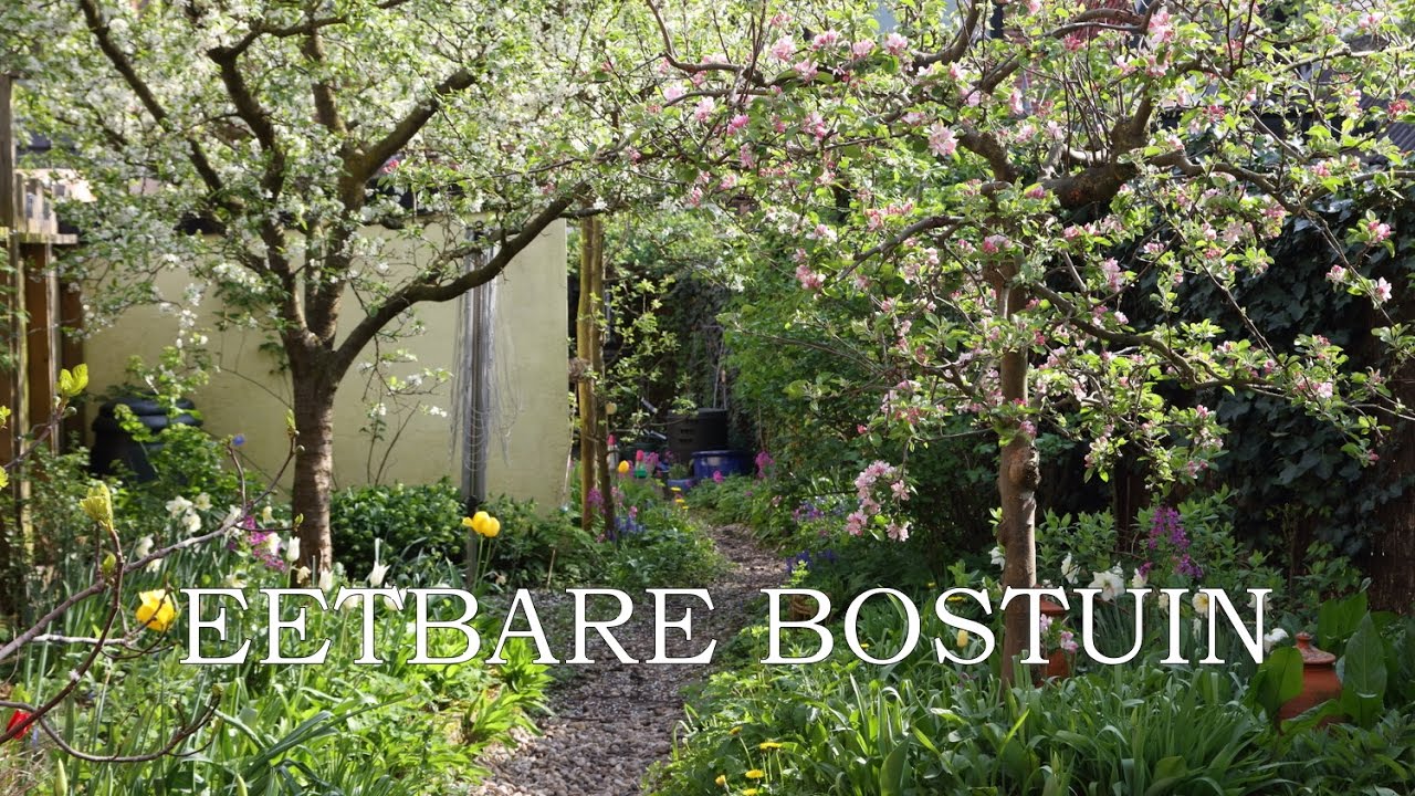 Eetbare bostuin
