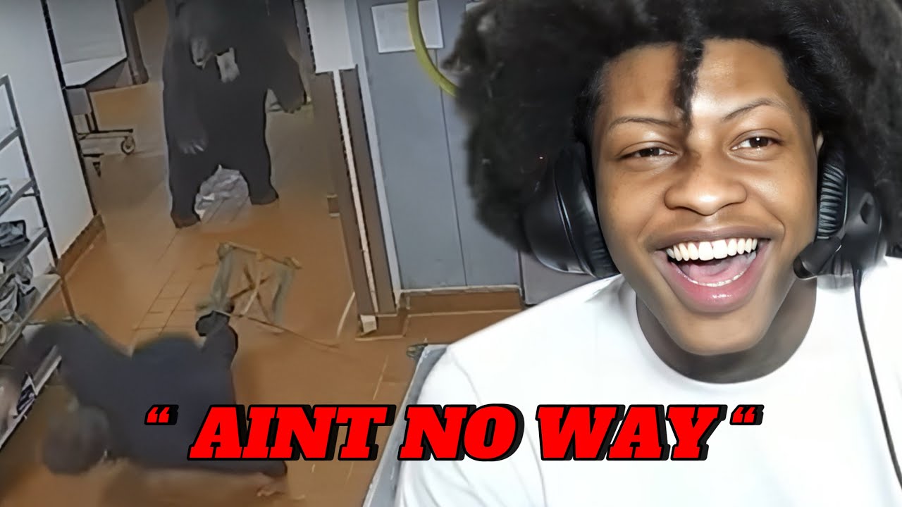 RegtooFunny Reacts To Wild Animals Invading People's Homes!