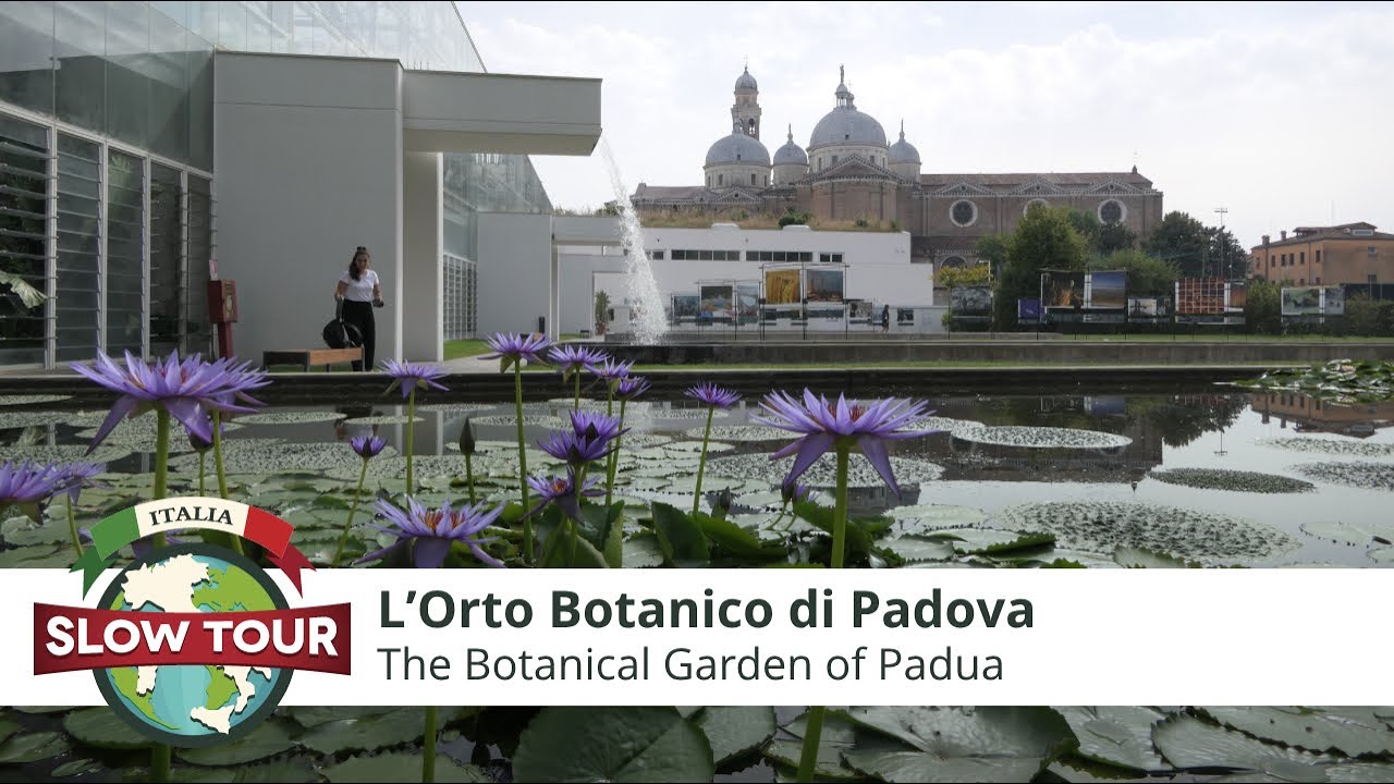 Padova: Orto Botanico e storia del Caffè | The Botanical Garden of Padua and the History of Coffee