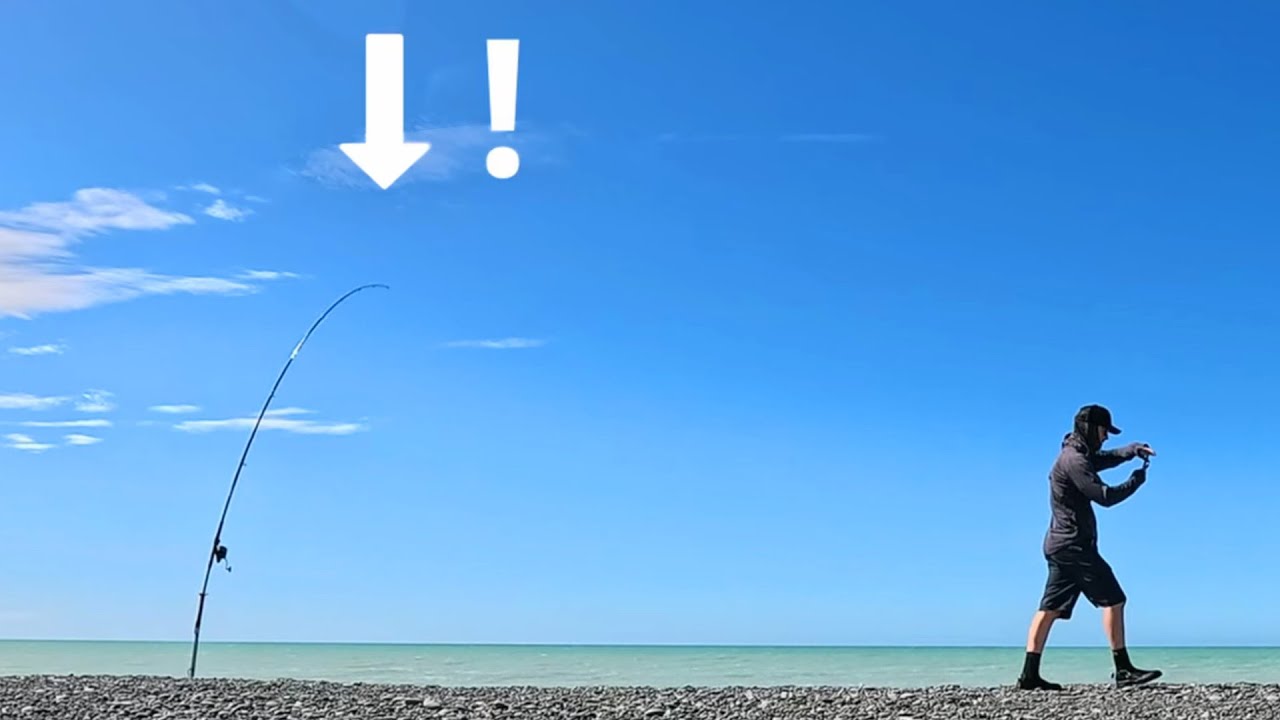 Huge Strike… What Am I Doing? | Rig Shark Fishing NZ