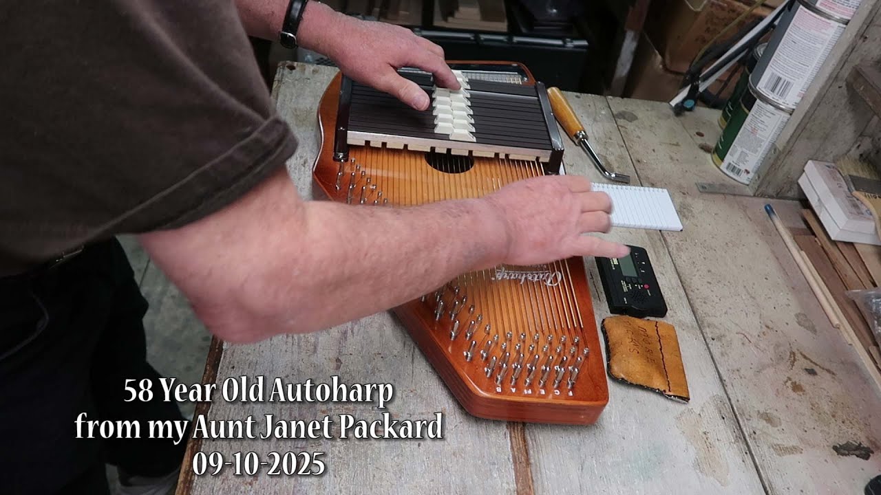 Autoharp - An Alternative Way of Playing
