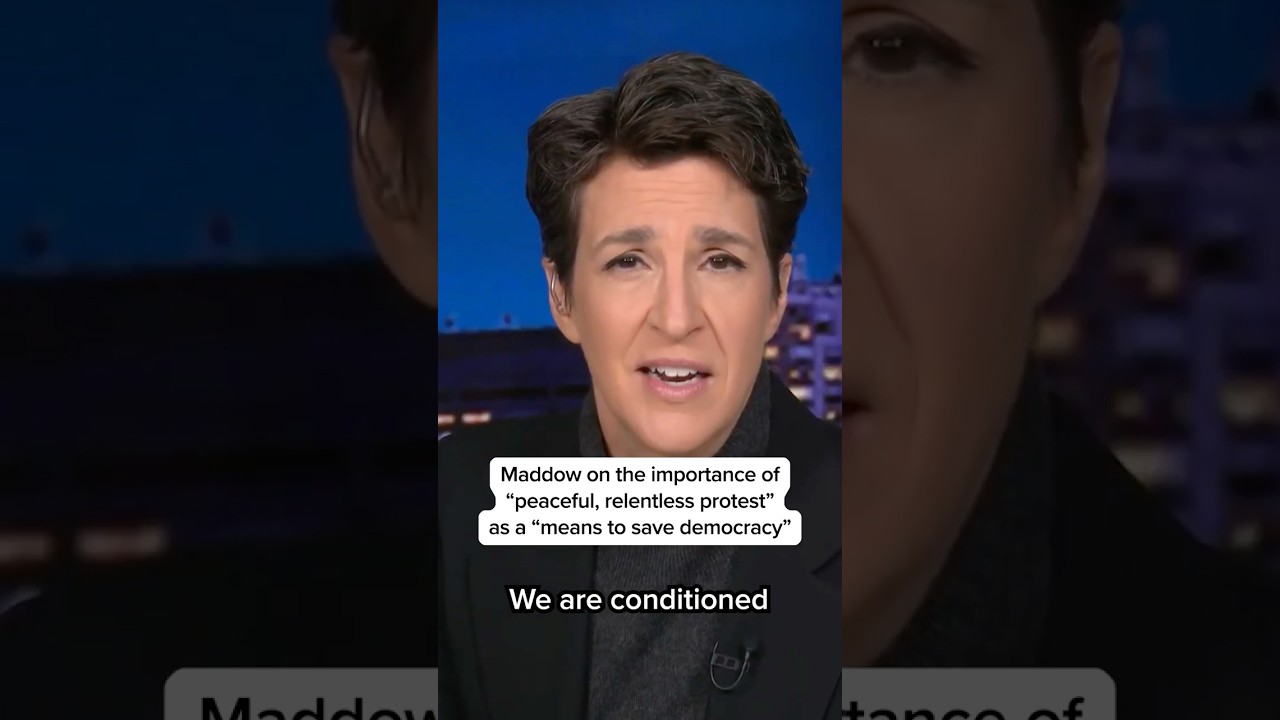 Maddow on the importance of 'peaceful, relentless protest' as a 'means to save democracy'