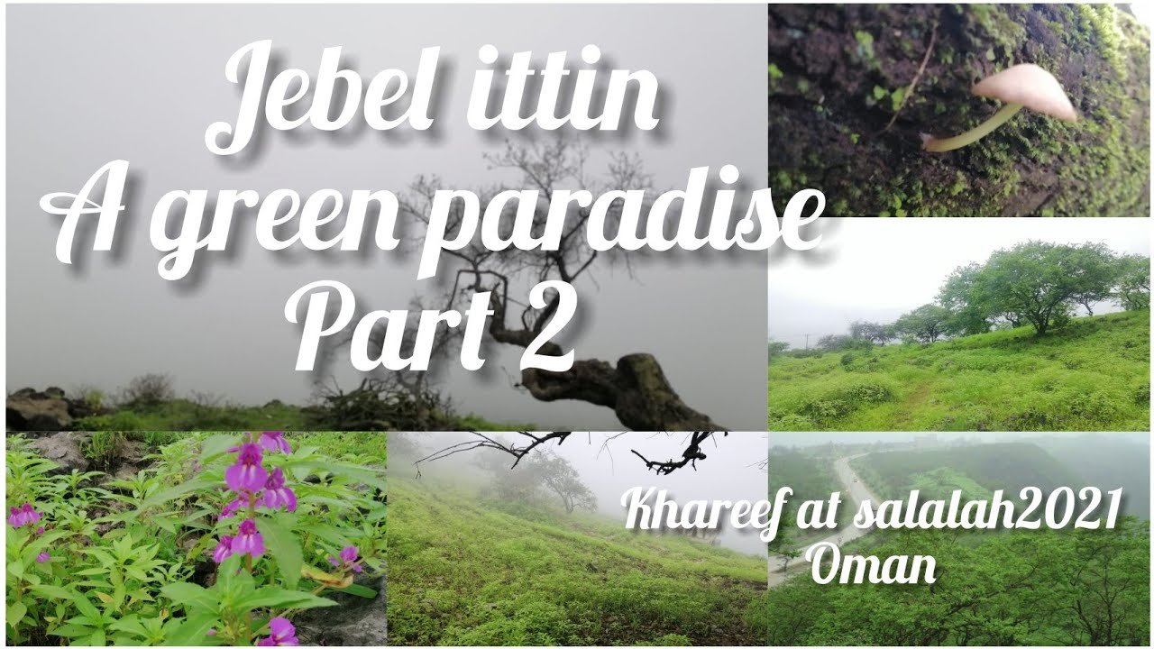 JEBEL ITTIN A GREEN PARADISE PART 2/ ITTIN salalah oman/ khareef at salalah 2021 .