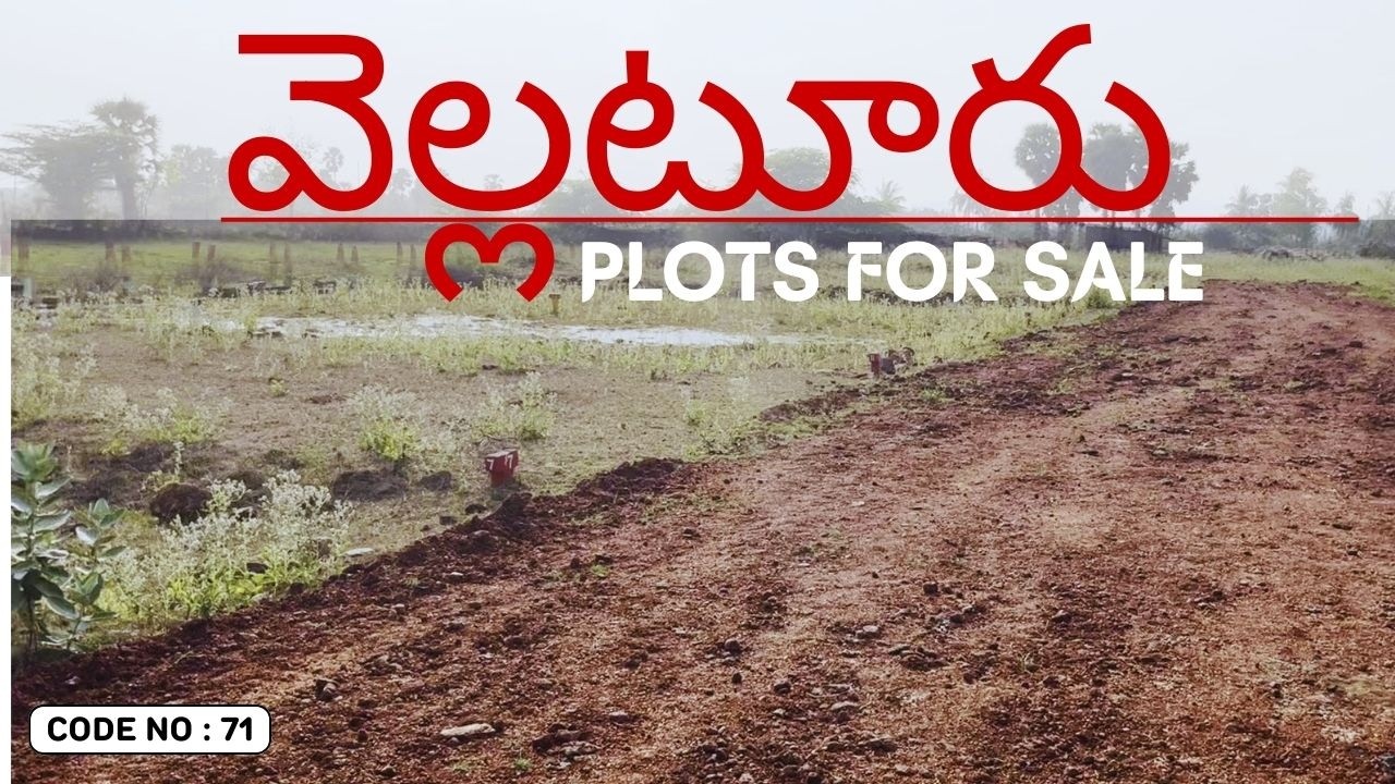 Plots For Sale In వెల్లటూరు | Vellaturu Plot For Sale | Vellaturu Land for sale | Plot For Sale