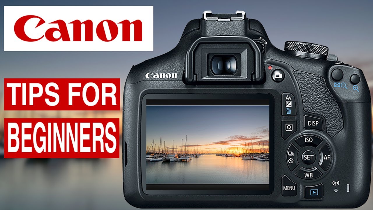 СОВЕТЫ ПО ФОТОГРАФИИ И ИСПОЛЬЗОВАНИЮ КАМЕРЫ CANON - ИСПОЛЬЗОВАНИЕ LIVE VIEW для начинающих.