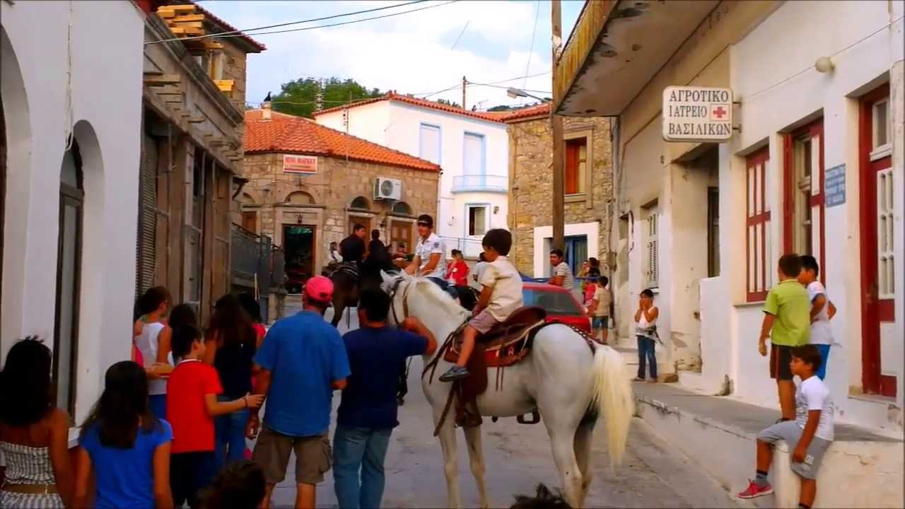 ΠΕΡΙΦΟΡΑ ΒΟΔΙΟΥ ΒΑΣΙΛΙΚΑ ΛΕΣΒΟΥ 17/08/2013