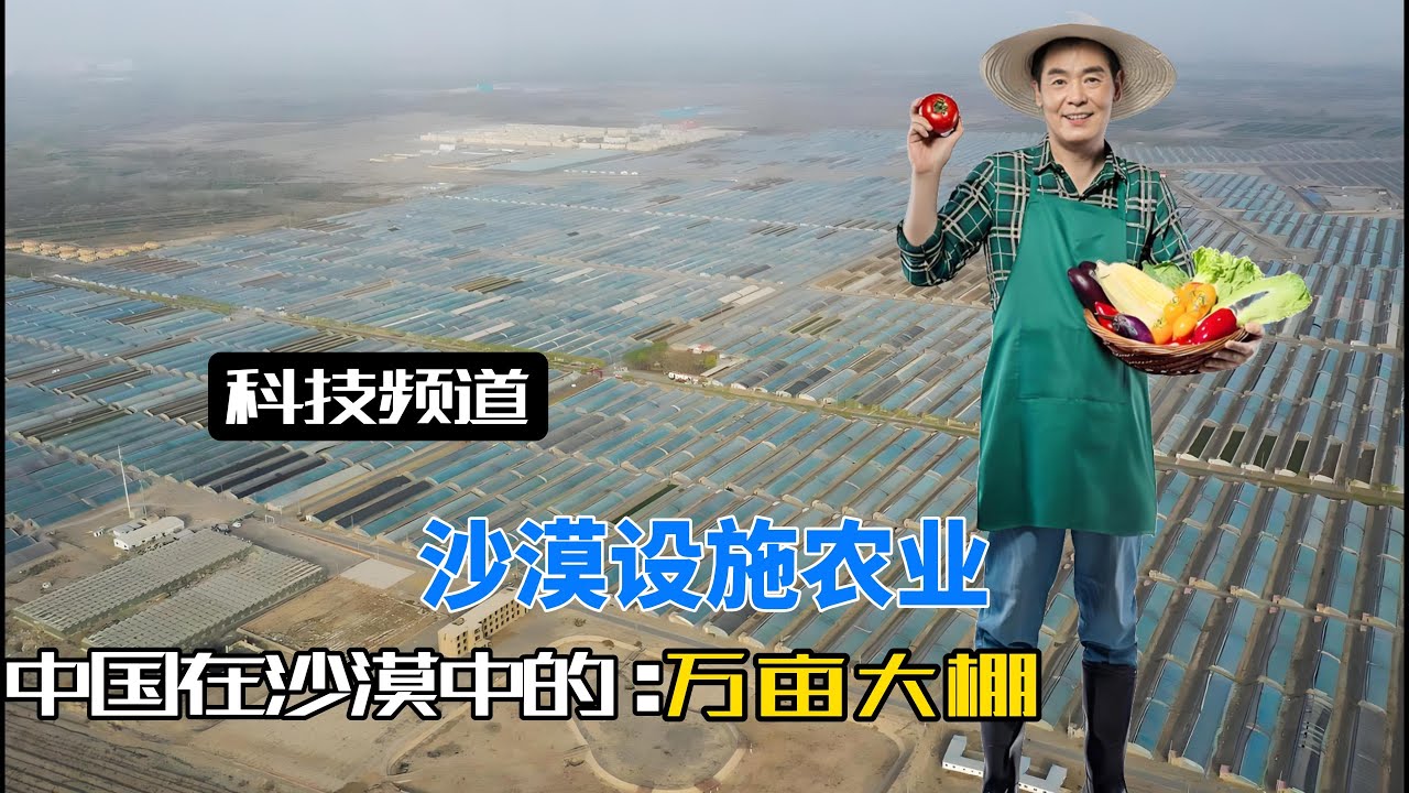 中国在新疆万亩沙海建起1000座农业大棚，外网网友：梦里啥都有！#沙漠种植#新型设施农业#大棚种植#塔克拉玛干沙漠#新疆