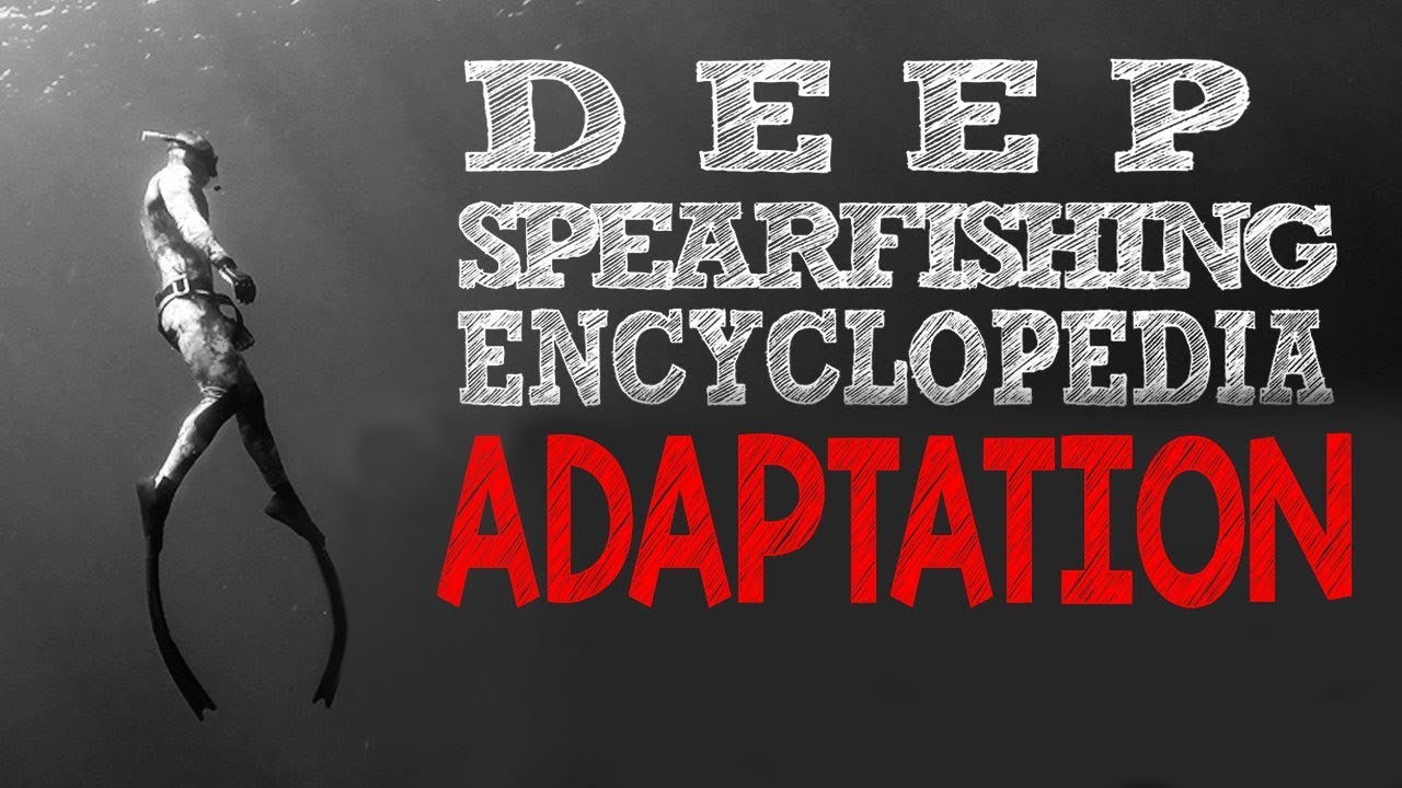 Deep Spearfishing Encyclopedia: Adaptation (CCs available)