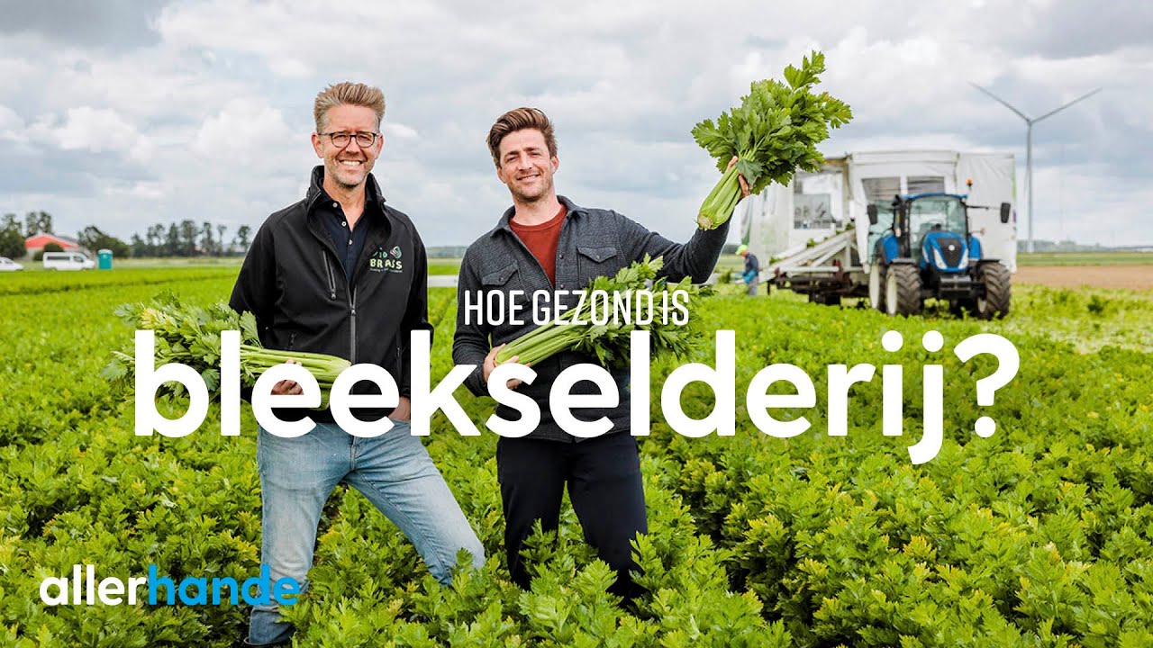 Is bleekselderij gezond? | Dit is het seizoen | Allerhande