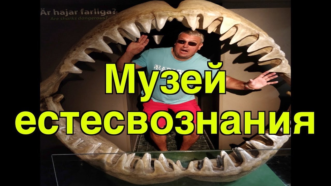 Мальме и музей