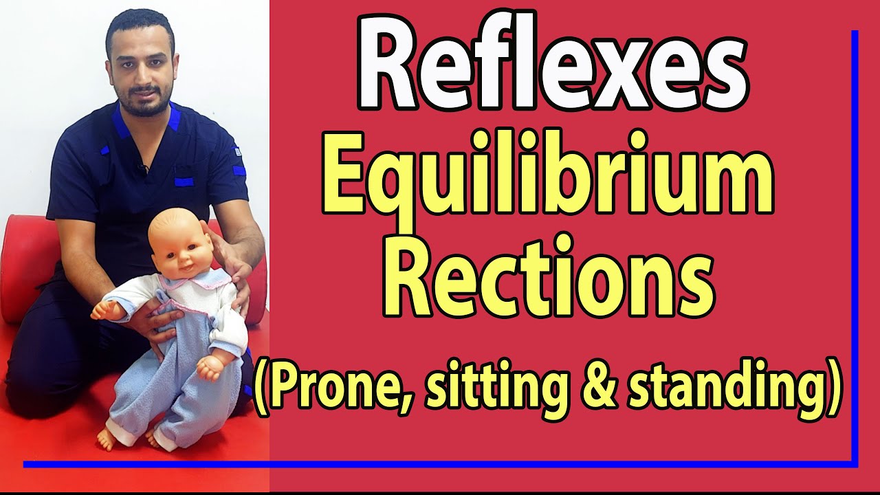 19 Equilibrium Reactions (Prone, Setting, Standing)