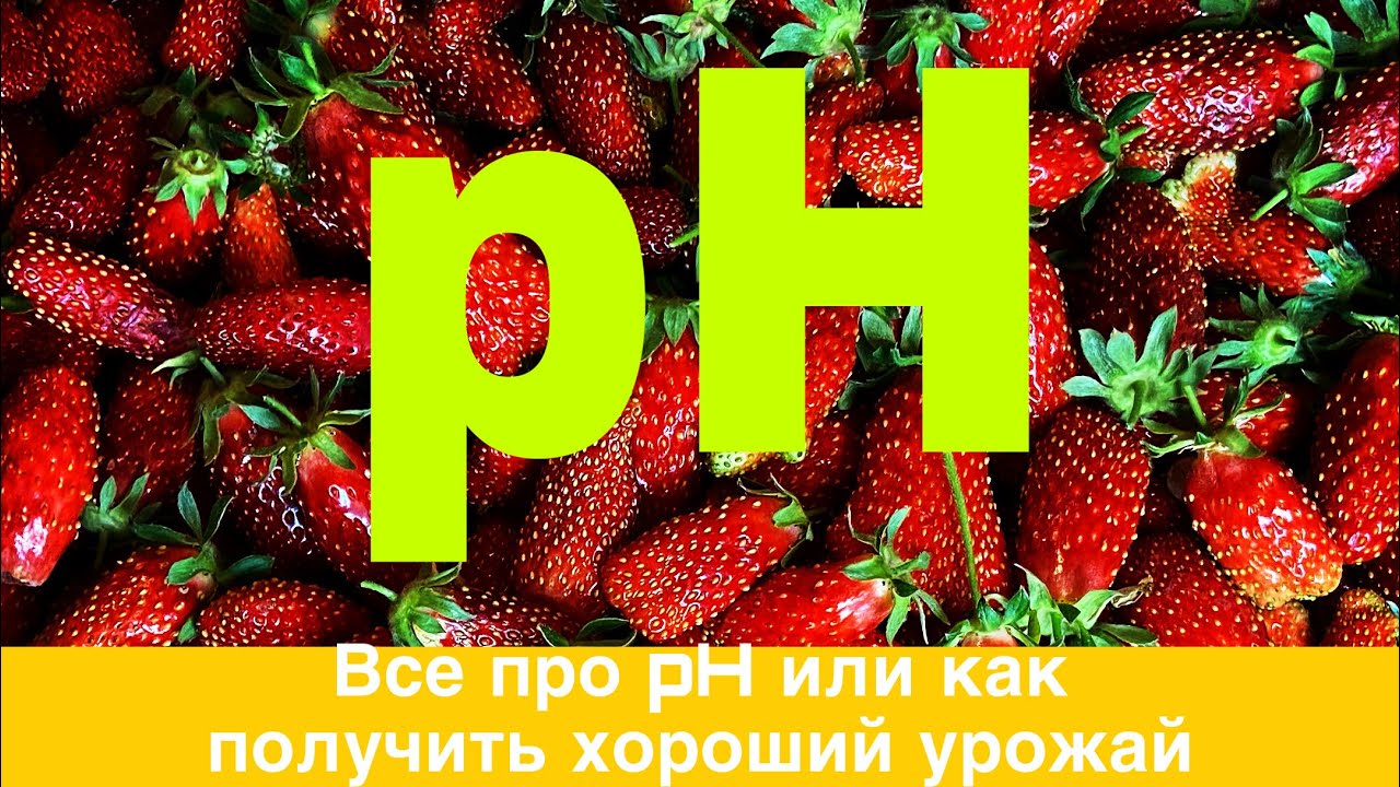 Что такое pH .Чем замерять.Как корректировать .(Практика)