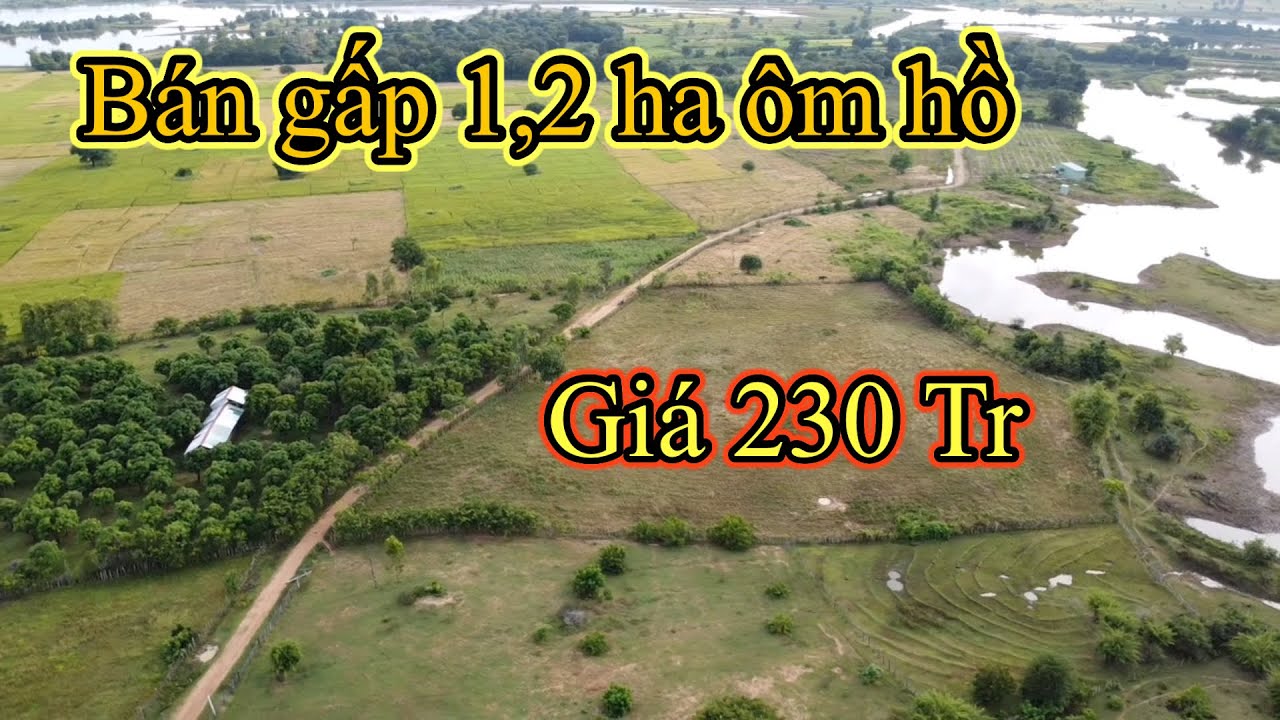 (đã cọc)Bán gấp 1.2 ha ôm hồ giá 230 tr nguyên lô 