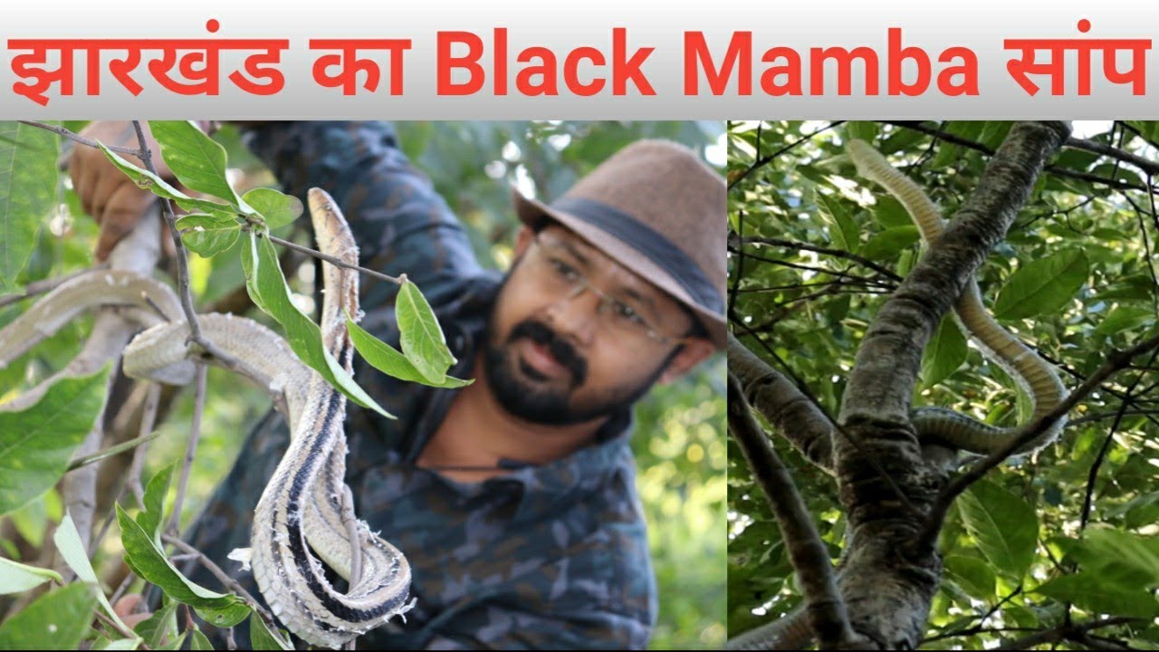 || Indian Man Vs Wild || झारखंड के खतरनाक जंगल में झारखंड का सबसे ...