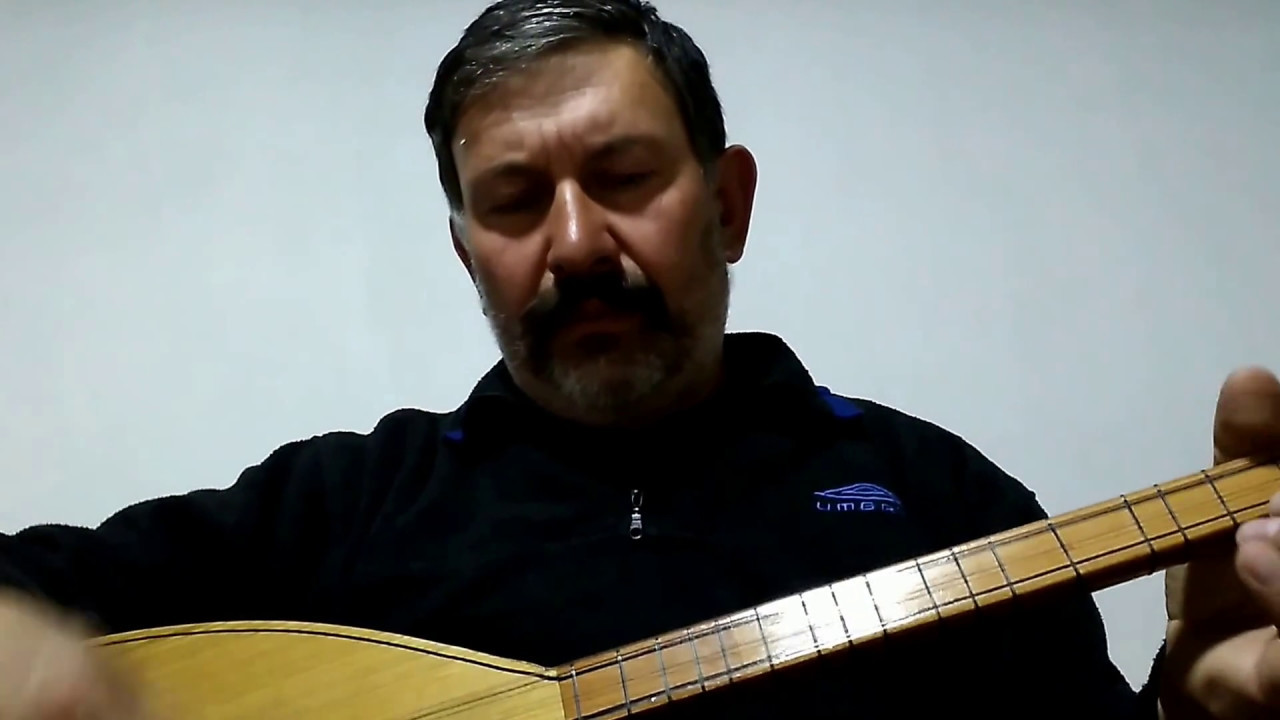 Cevizin yaprağı dal arasında. Suat arıcan