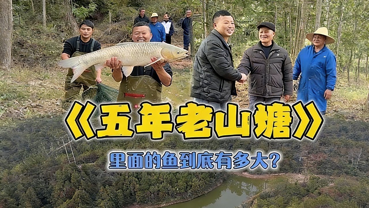 花 18,000 包下口養了五年的山塘，沒想到裡面的魚這麼大？#戶外 #魚塘 #抓魚 #甲魚 #fishing