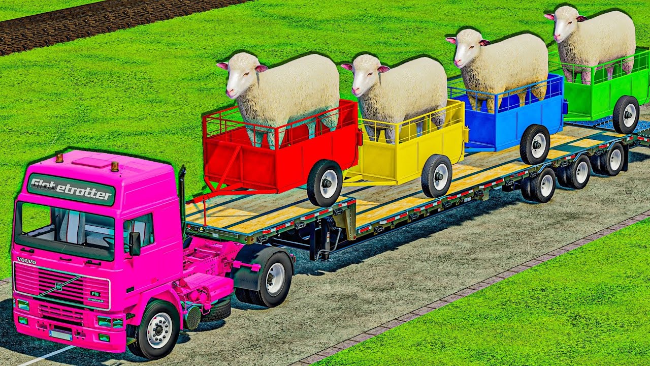 TRANSPORT OF COLORS - GIANT SHEEPS ON MINI TRAILER ON FLATBED - Farming Simulator 22