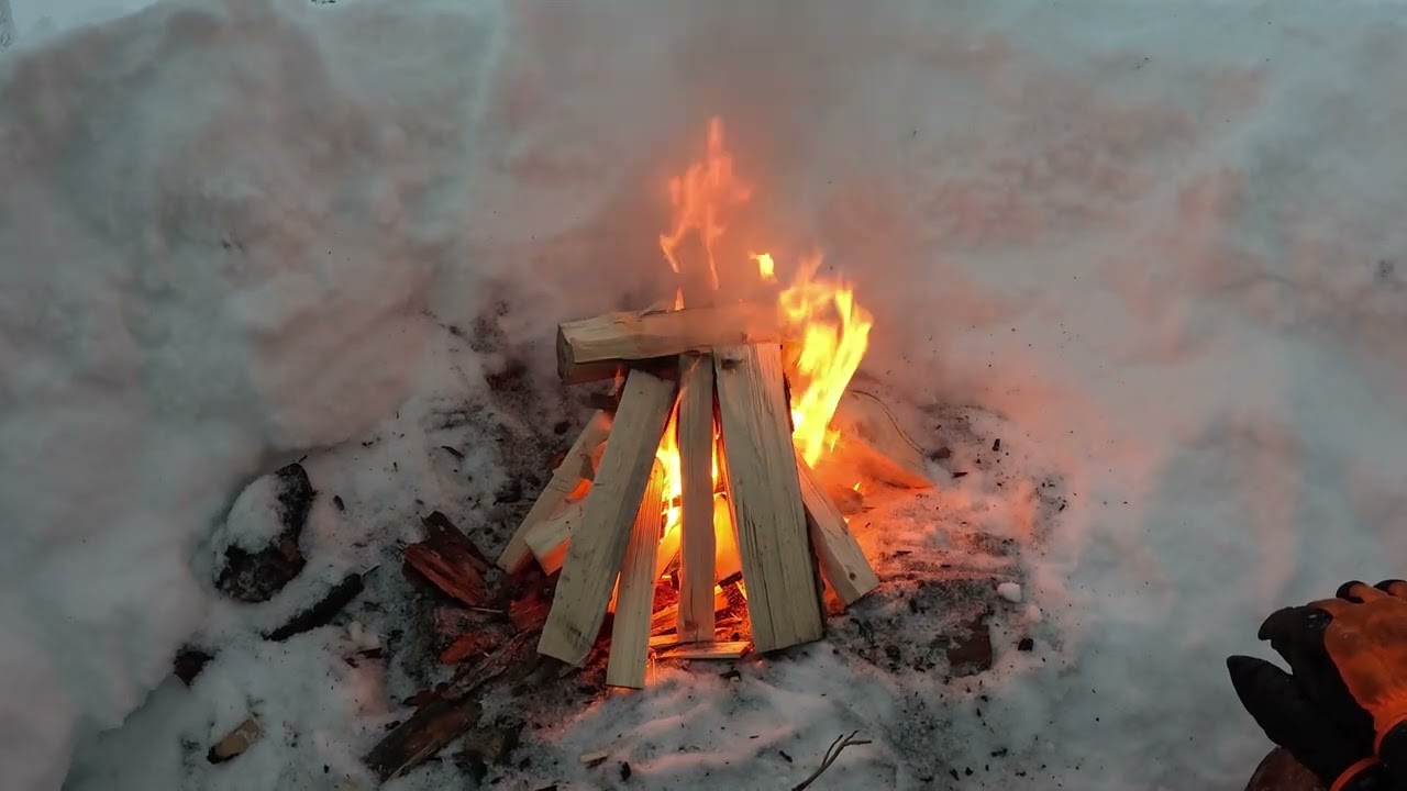 Vanhojen metsäsuksien kokeilua