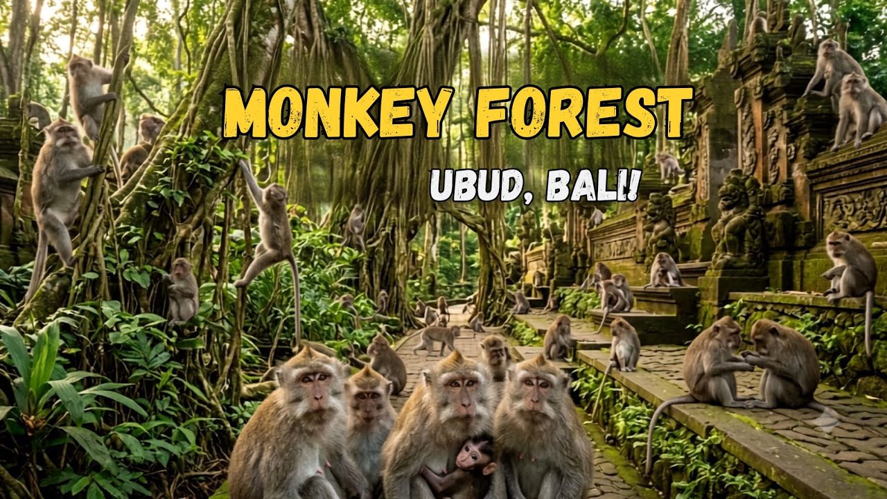 Monkey Forest Ubud , Bali Indonesia - Walking Tour Indonesia 