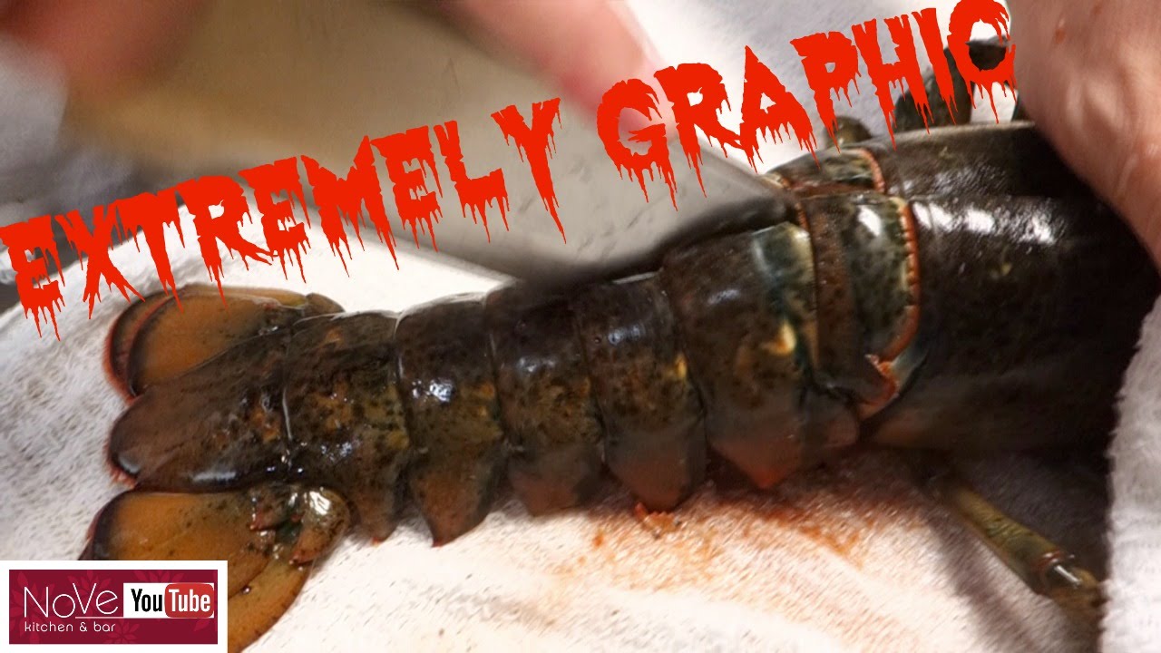 EXTREMELY GRAPHIC: Maine Lobster Dynamite - How To Make Sushi Series