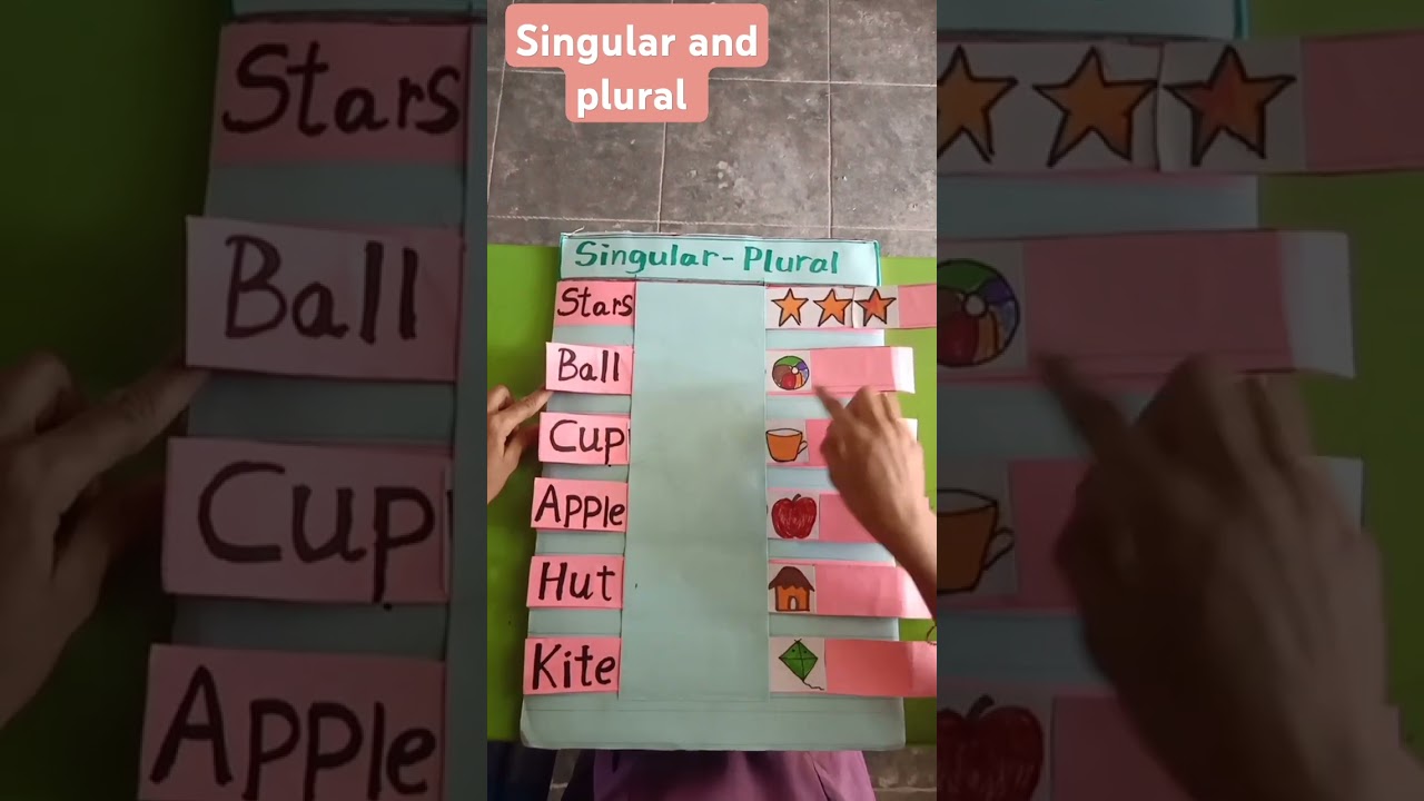 English TLM  singular and plural