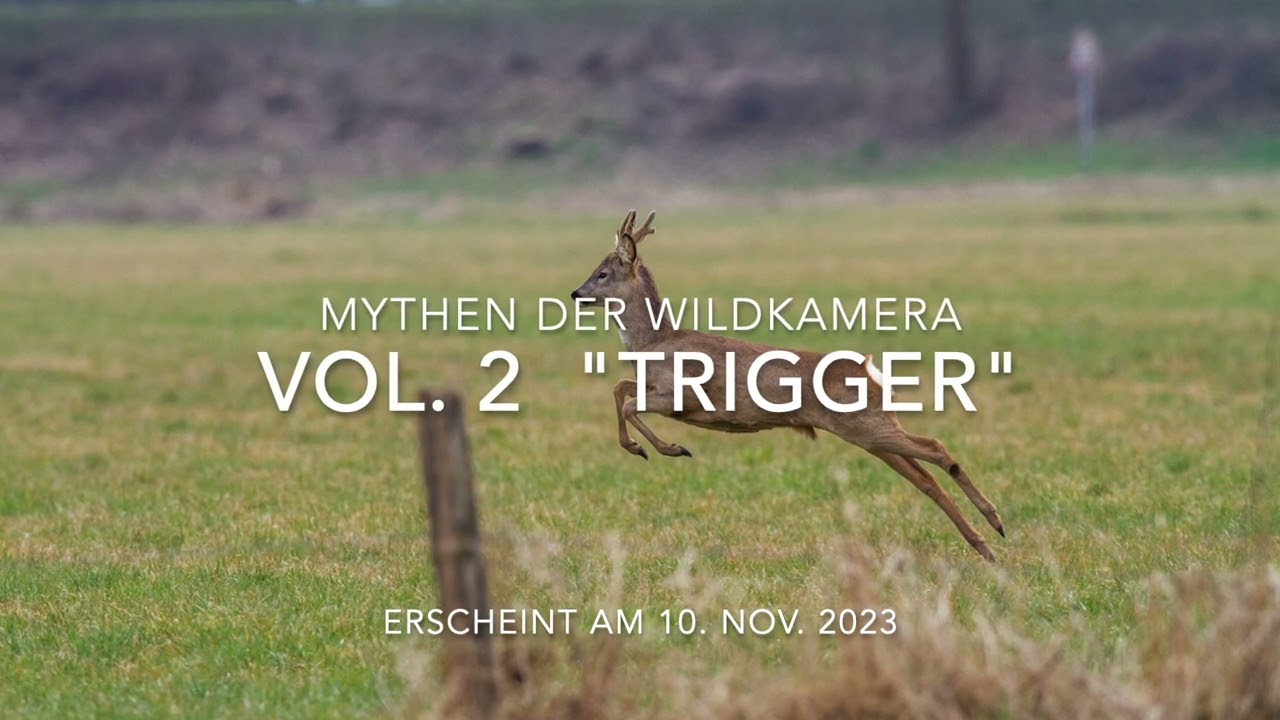 Vol. 2  Mythos Wildkamera - Trigger und Aufnahme