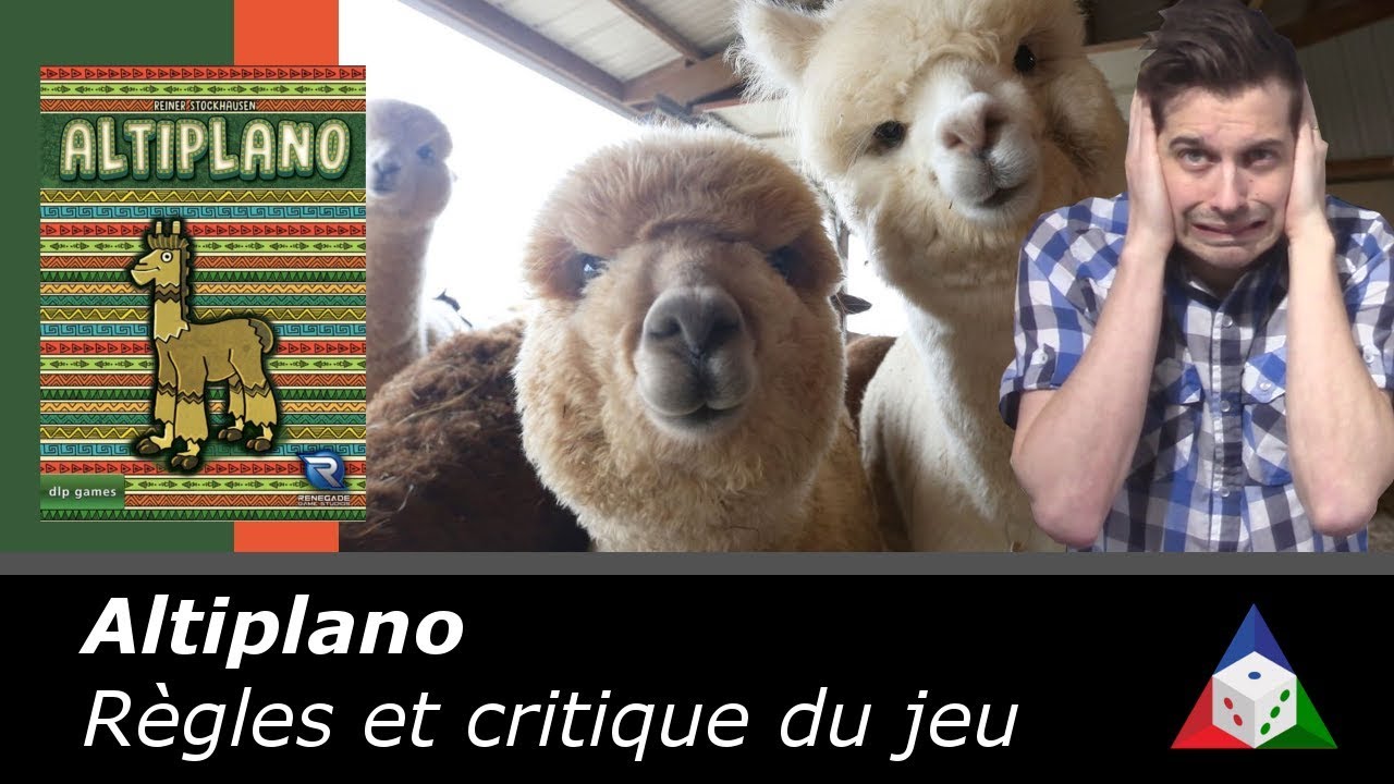 Altiplano - Règles et critique du jeu