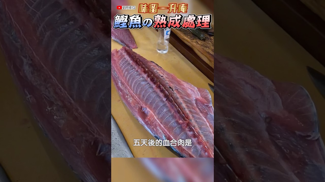 鰹魚的處理｜郭師傅教你如何切割鰹魚&熟成的處理與保存‼️ #鰹魚 #中開法 #熟成 #鹽醃漬 #味留一升庵