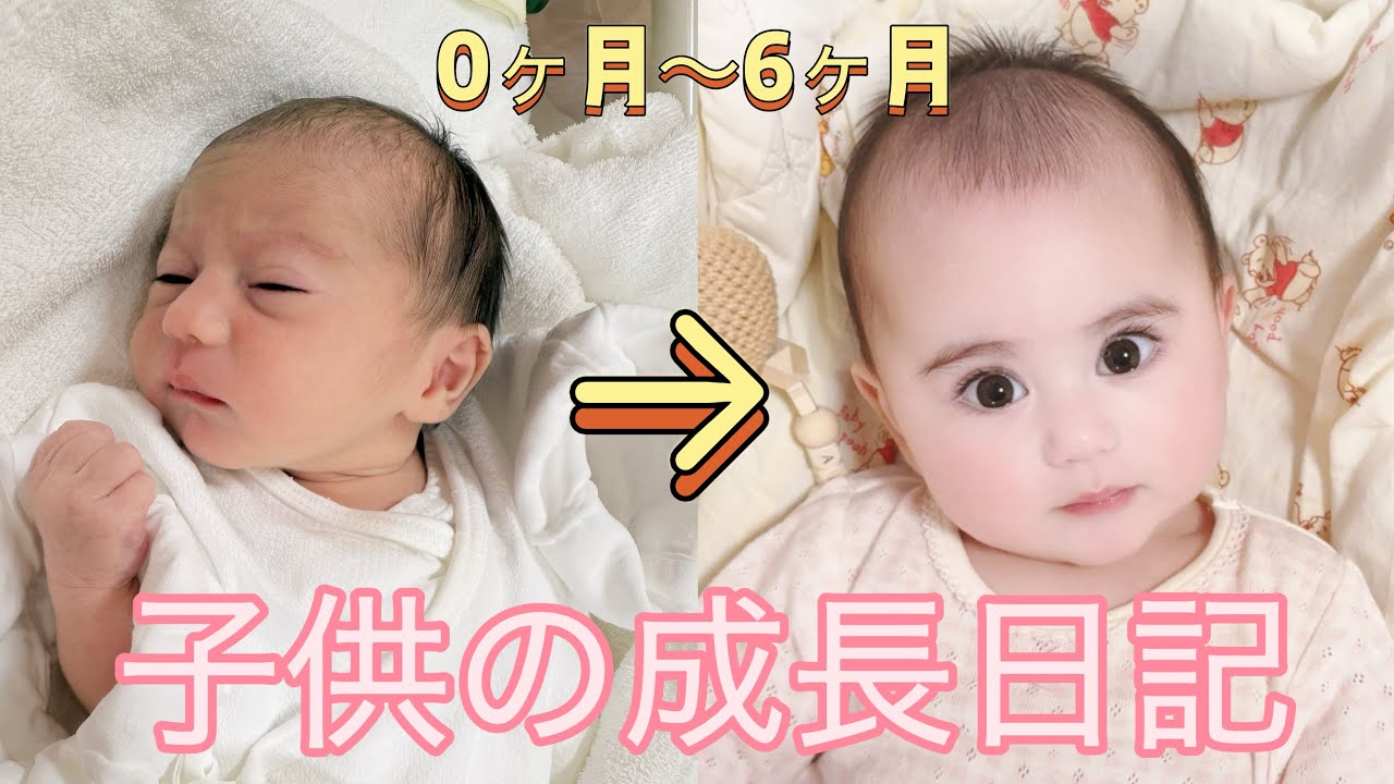 小さな命の成長物語｜0〜6ヶ月を振り返る30分