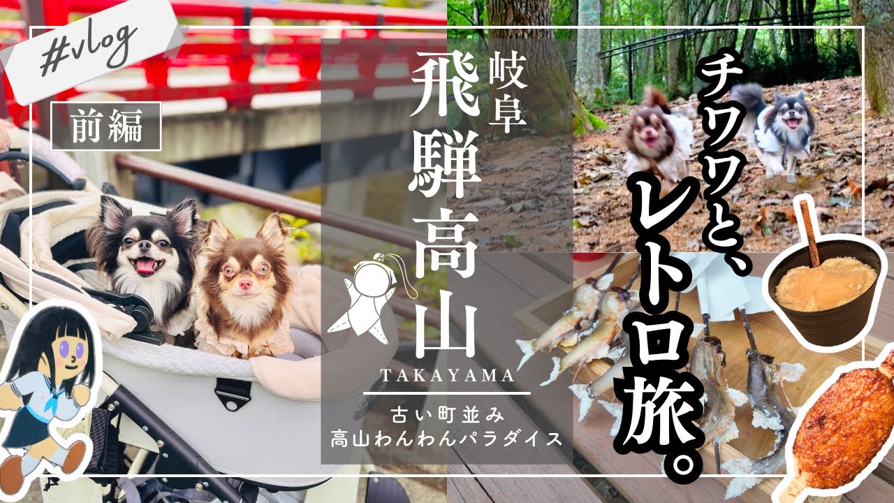 【犬と泊まれる宿】 大自然に囲まれた高山わんわんパラダイスへ愛犬と宿泊  | 高山わんこOKスポット | チワワ2ぴきとレトロ旅 | 高山絶品グルメ | 古い町並み | 岐阜・飛騨高山