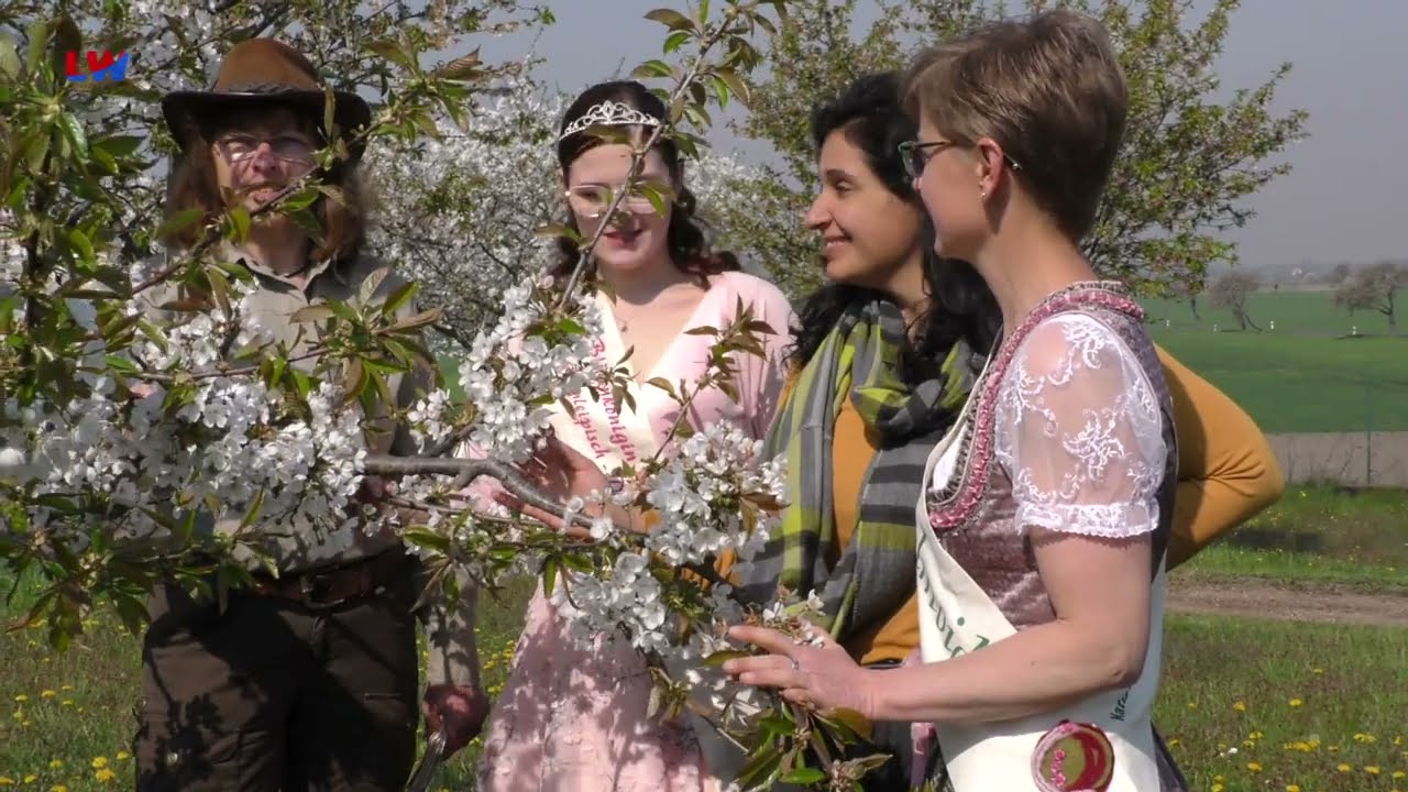 D&ouml;llingen: Bl&uuml;tenfest im Schau- und Lehrgarten - LAUSITZWELLE
