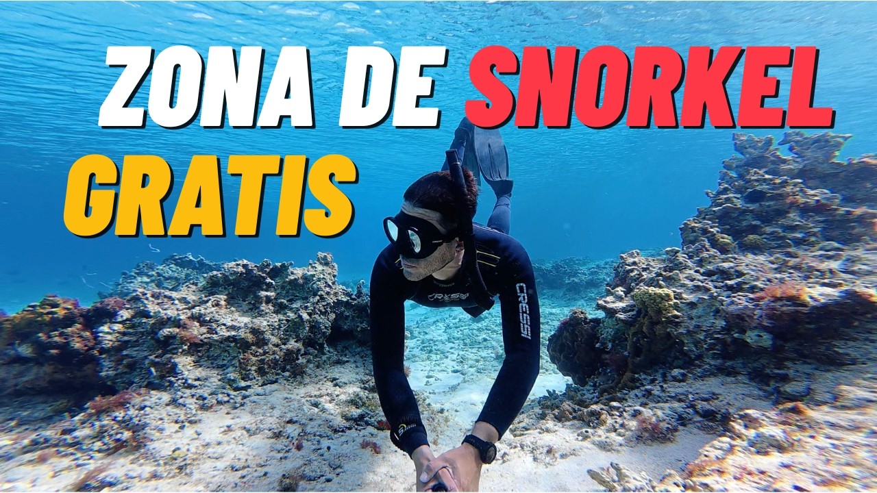 PLAYA CASITAS / Zona de Snorkel y playa publica cerca del FERRY / Cozumel