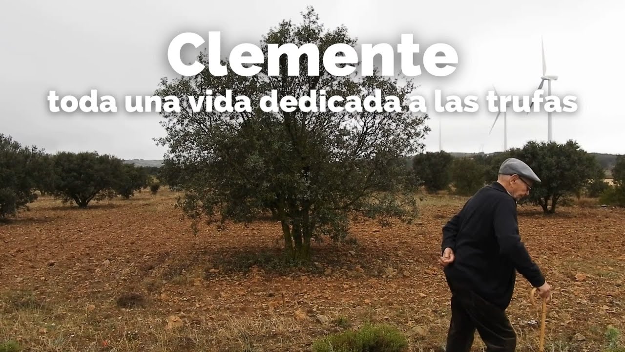 Entrevista con Clemente, toda una vida dedicada a las trufas - LAUMONT