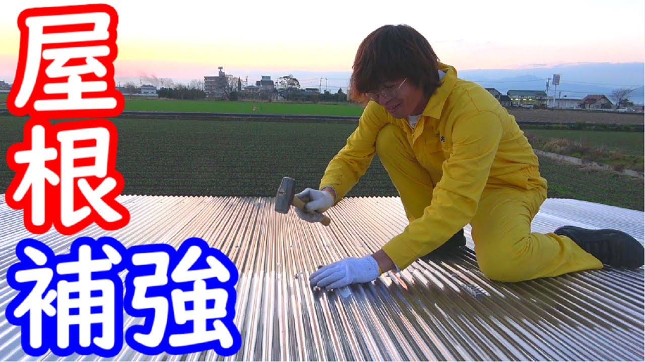 【DIY】強風で屋根が・・・！
