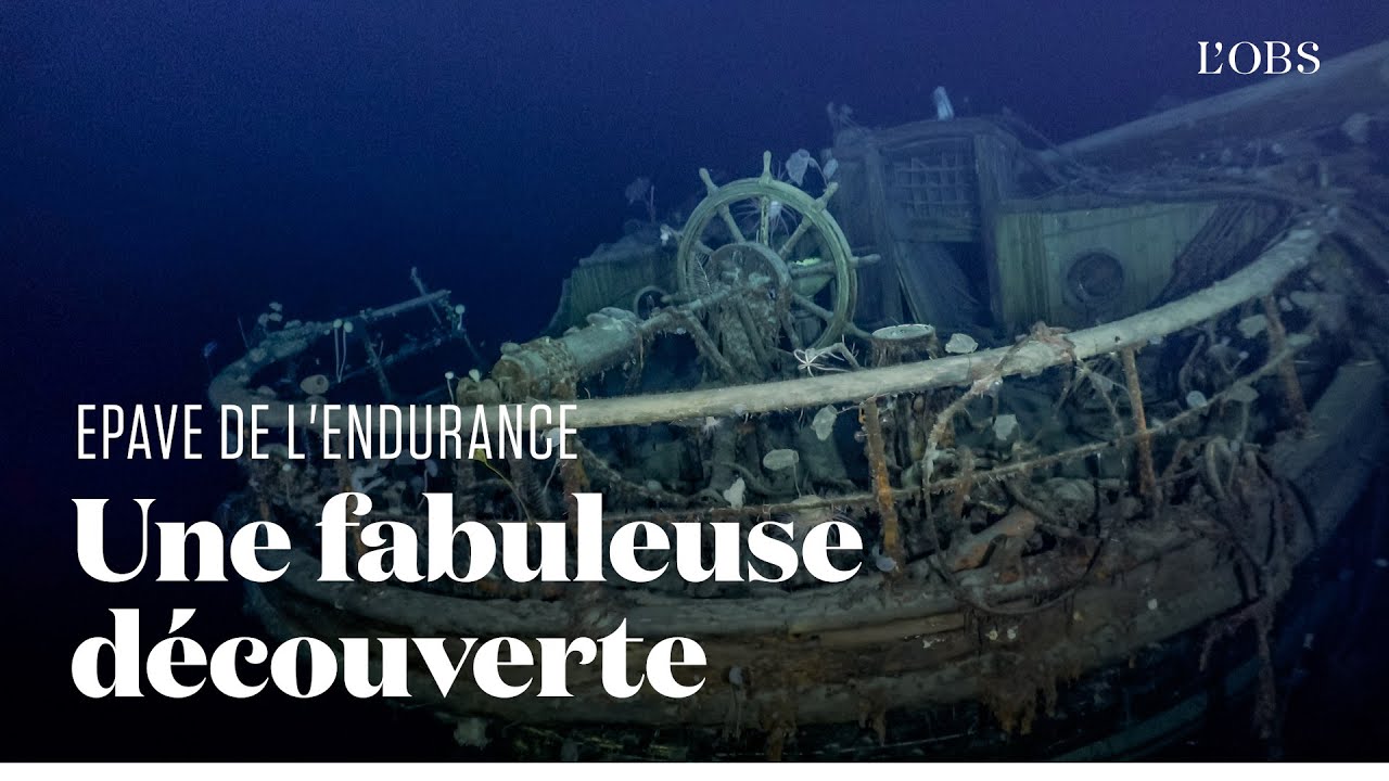 Les splendides images sous-marines du navire d'Ernest Shackleton retrouv&eacute; en Antarctique