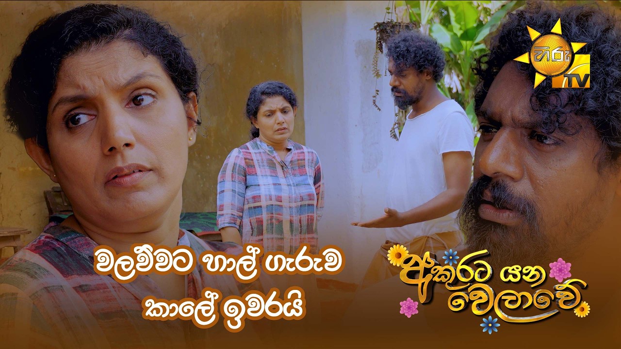 වලව්වට හාල් ගැරුව කාලේ ඉවරයි