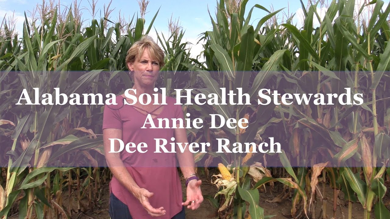 Interview with Annie Dee, Alabama Soil Health Steward