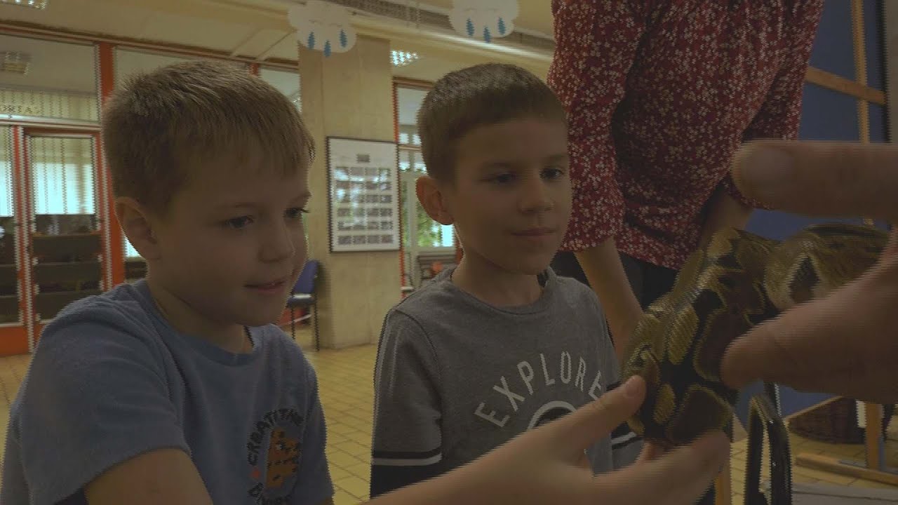 Állatok Világnapja a Szűcs Sándor Általános Iskolában