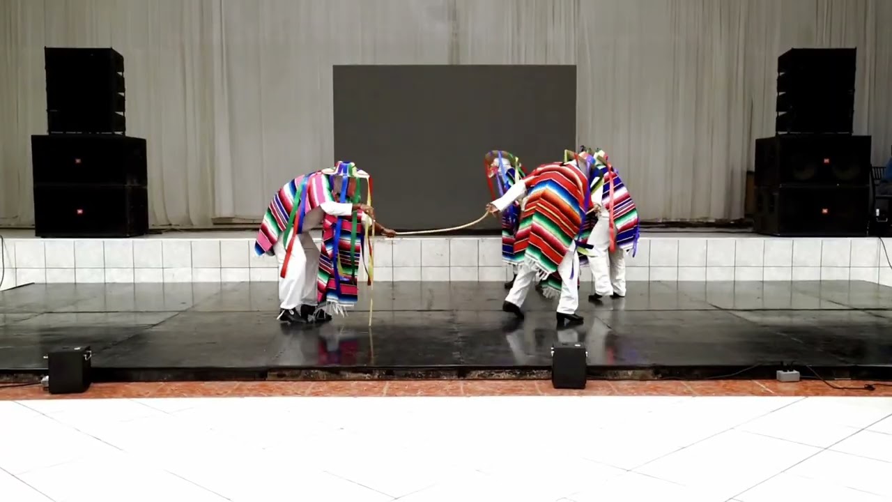 Grupo Folklórico Raíces del Mante - XVñero