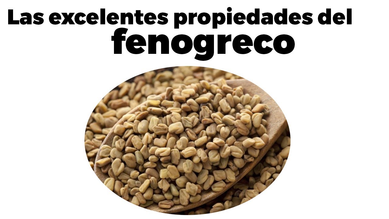 Beneficios del fenogreco, cómo tomarlo, y posibles efectos secundarios