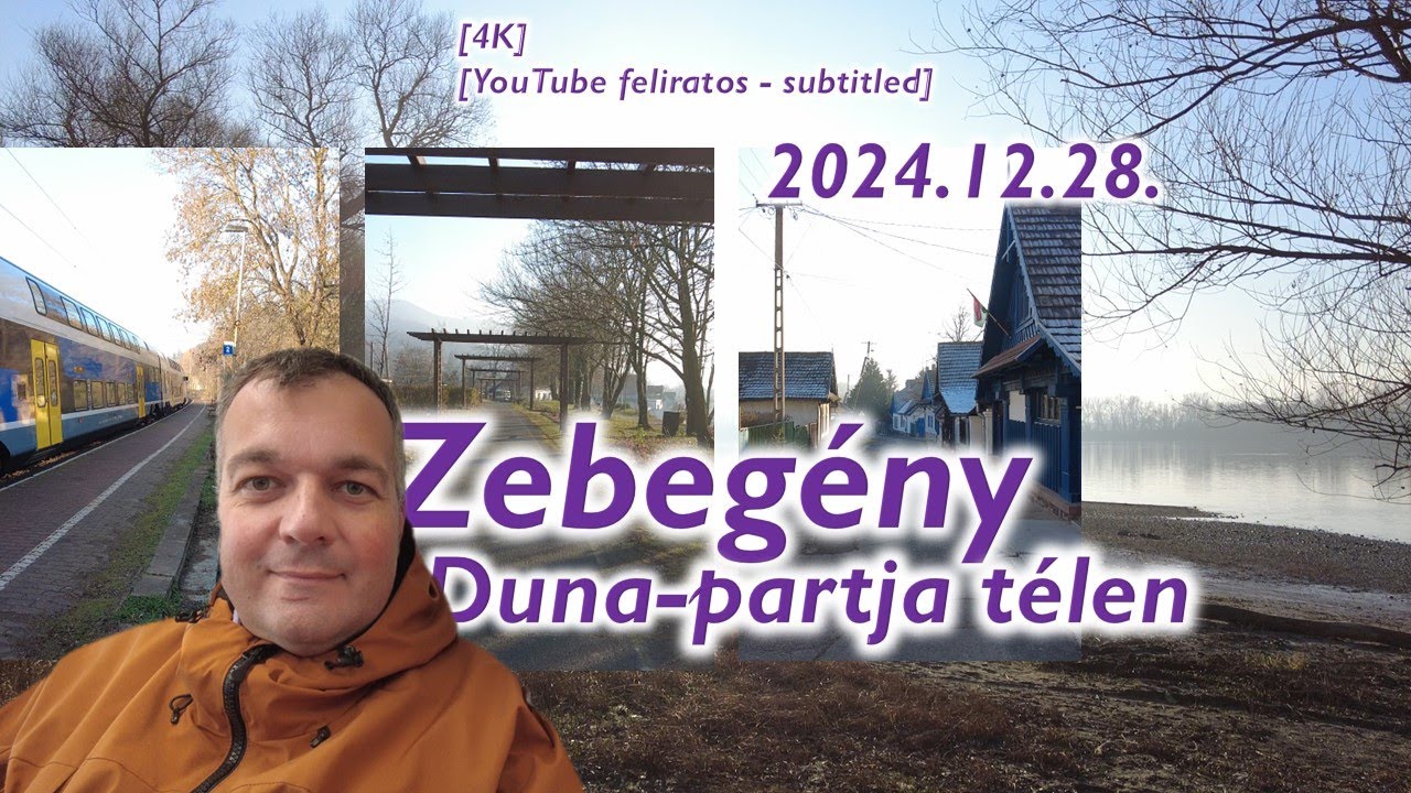 Берег Дуная Зебегень зимой (2024 г.)