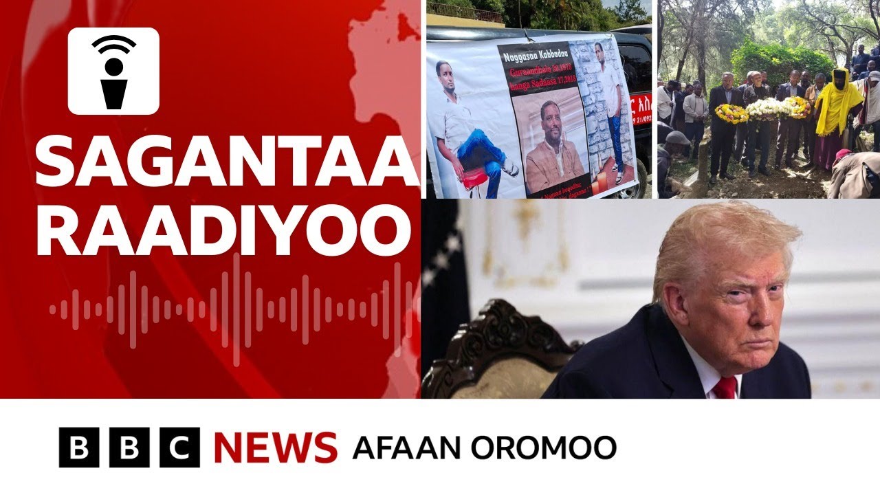 Abbootiin alangaa Oromiyaa hidhattootaan butaman maalirra gahan? | BBC News Afaan Oromoo