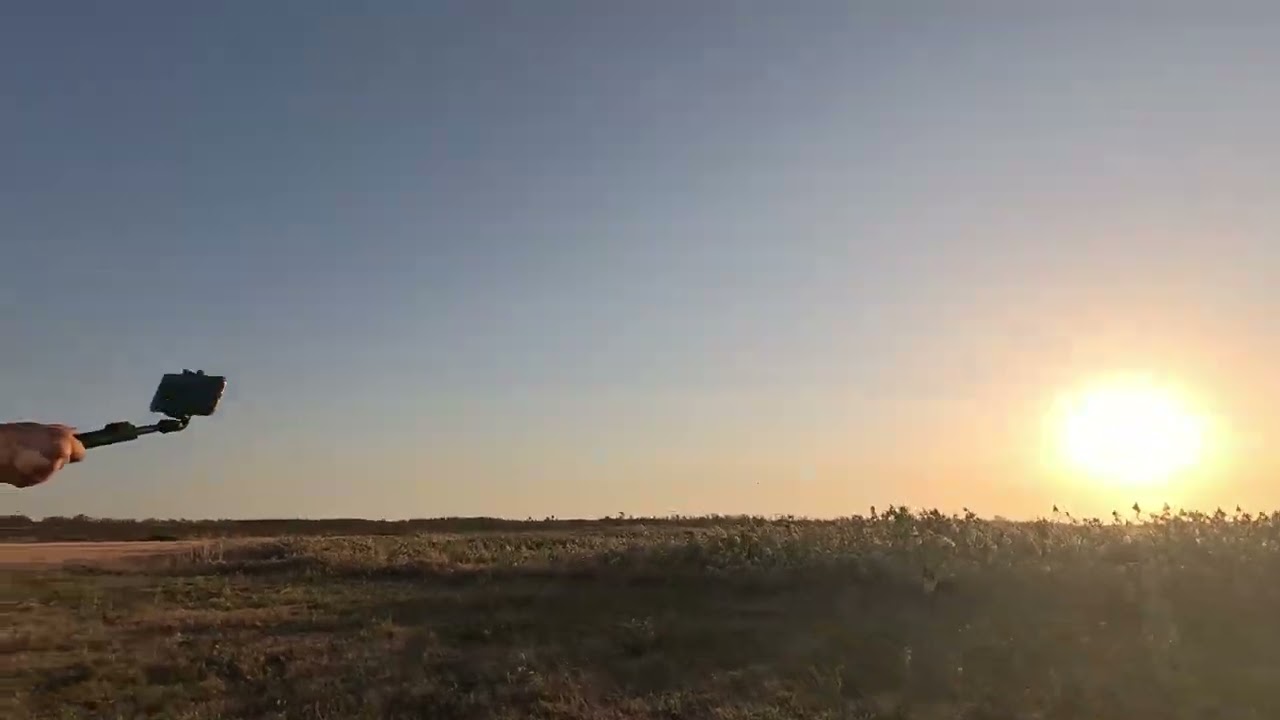 ХИТРЫЙ ПЕРЕПЕЛ! Охота на перепела/горлицу. ОТДЫХ и ОХОТА в КУЩЕВСКОМ районе
