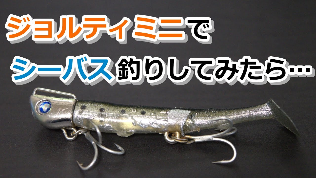 ジョルティミニでシーバス釣りしてみたら…【2024年2月17日】