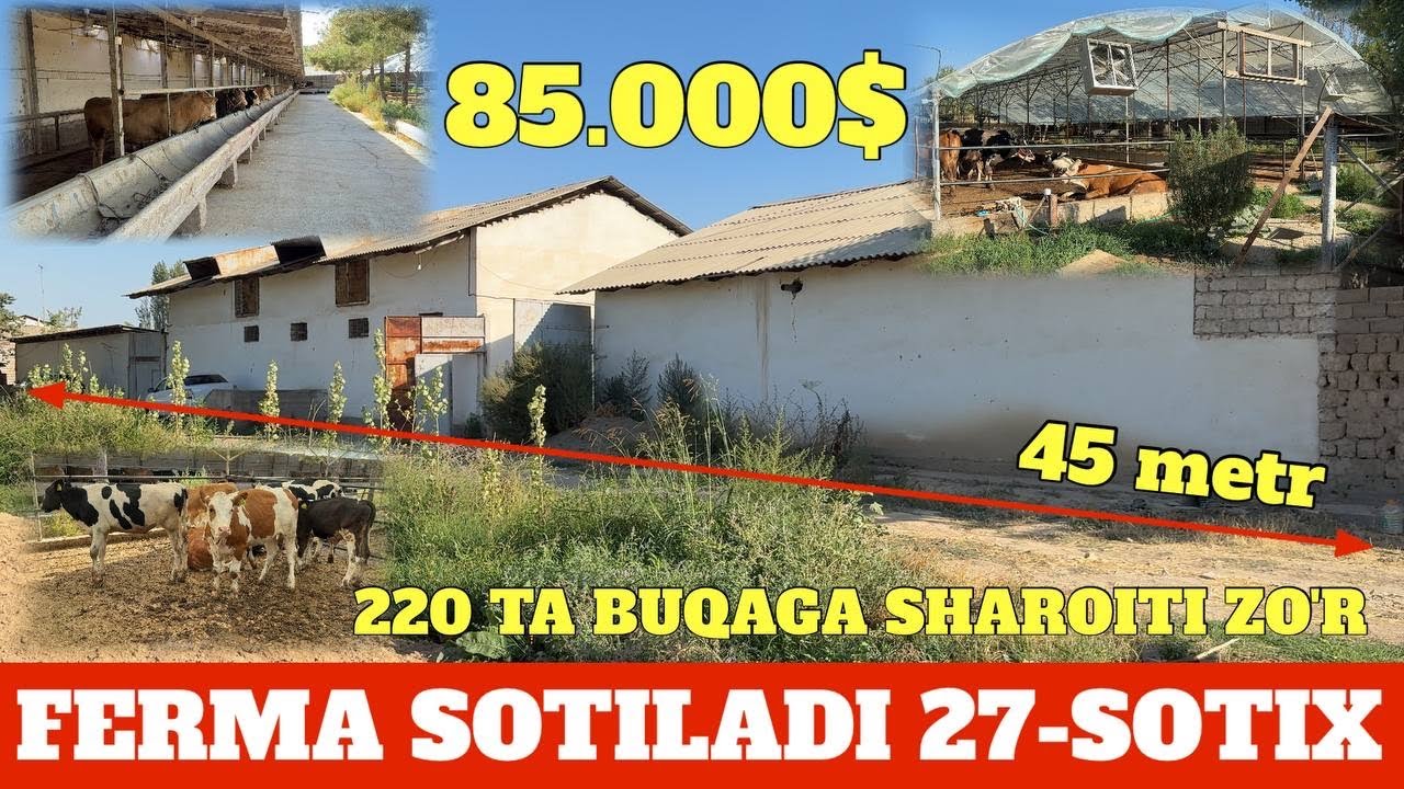 FERMA SOTILADI 27-SOTIX 85.000$ NAVOROTI BOR SUV SVET GAZ BOR ARTIZAN SUV OFIS KAMERA BOR