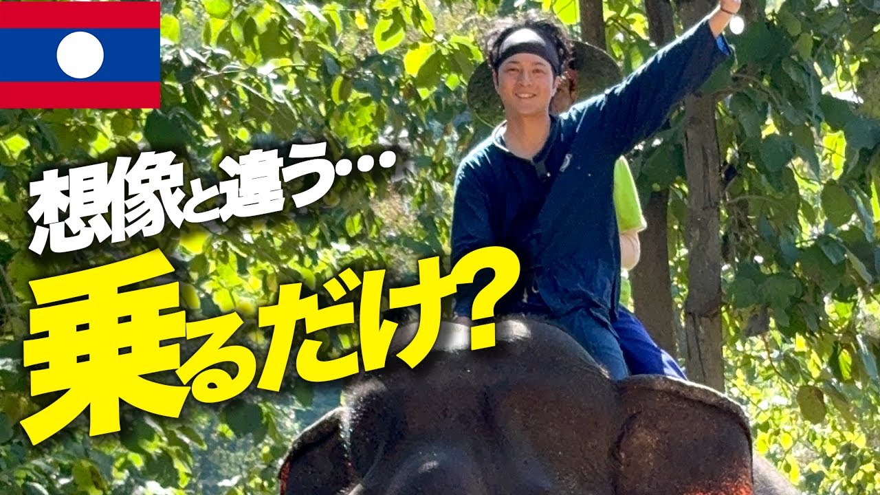 想像と違った…ラオスのゾウ使い体験、その実態【アジア編#6】