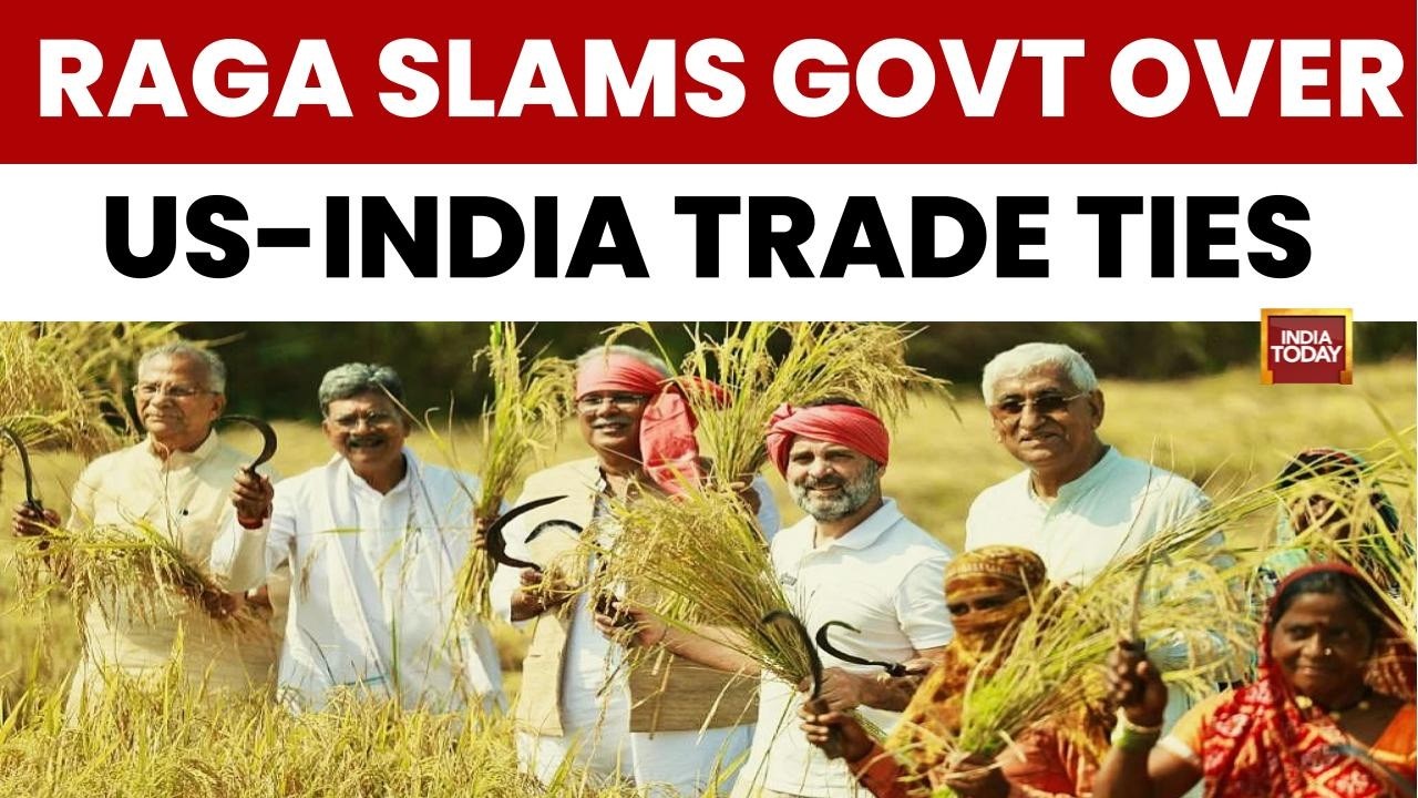 Rahul Gandhi Slams Modi Govt Over US Trade Deal |  Claims Indian Cotton Farmers Face Ruin