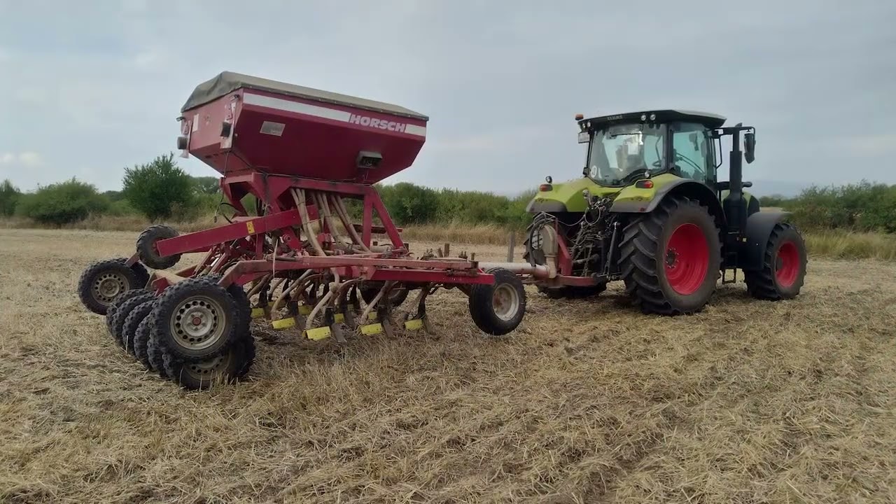 Claas Arion630 Horsch CO4 sejba 2022